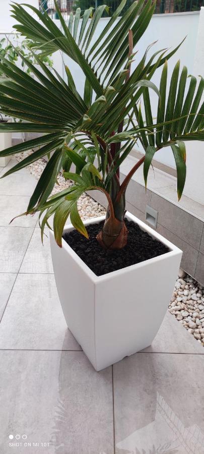 Ferienwohnung Luxury Townhouse Costa Adeje  Exterior foto
